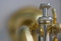Behind the Trumpet Royalty Free Stock Photo