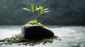 A Vibrant Green Sprout Thriving Against the Odds on a Stone Slab