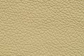 Beige artificial leather with large texture Royalty Free Stock Photo