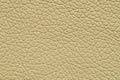 Beige artificial leather with large texture Royalty Free Stock Photo