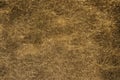 Beige artificial leather texture with stains and veins Royalty Free Stock Photo