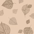 beige background with evenly spread leaf carcasses