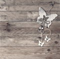 Beige background, plywood topper butterfly , from wooden boards, horizontal Royalty Free Stock Photo