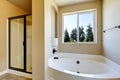 Beige bathroom interior with white bath tub and glass shower Royalty Free Stock Photo