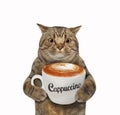 Cat with cup of cappuccino Royalty Free Stock Photo