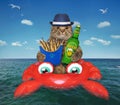 Cat drinks beer on inflatable crab 2 Royalty Free Stock Photo