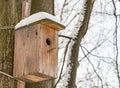 Beige birdhouse wooden box round entrance for birds on a tree trunk background with copy space