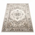 Beige and Black Ornate Patterned Rug on White Background for Interior Design Royalty Free Stock Photo