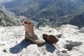 Beige boots with laces for soldiers on the street Royalty Free Stock Photo