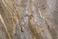 Beige brown marble texture background. Natural stone pattern Royalty Free Stock Photo
