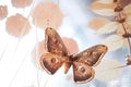 Beige Butterfly and autumn dry plants close up, abstract natural background. Gentle dreamy nature image. template for design