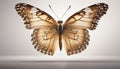 Beige butterfly with beige background. Close up. Royalty Free Stock Photo