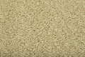 Beige carpet background. Gray carpet with texture on the surface. Materials and items for interior design of rooms and houses Royalty Free Stock Photo