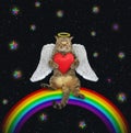 Cat angel on rainbow 2