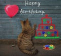 Cat draws birthday cake on fence 2 Royalty Free Stock Photo