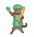 Cat baker holds baguette