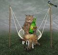 Cat drinks beer on swing Royalty Free Stock Photo