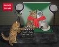 Cat makes film real love 2