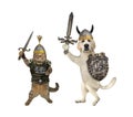 Cat and dog knights armed with swords