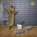 Cat doing apartmet repair Royalty Free Stock Photo
