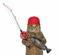 Cat with fishing rod holds caught trout