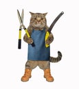 Cat with gardening scissors 3 Royalty Free Stock Photo