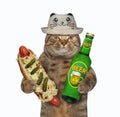 Cat has beer with hot dog 2 Royalty Free Stock Photo