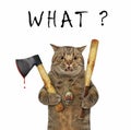 Cat holds axe and baseball bat