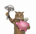 Cat holds car key and piggy bank Royalty Free Stock Photo