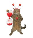 Cat holds hourglass with hearts 2 Royalty Free Stock Photo