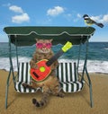 Cat playing watermelon guitar 2 Royalty Free Stock Photo
