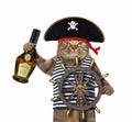 Cat pirate at helm of ship Royalty Free Stock Photo