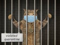 Cat in protective mask behind bars Royalty Free Stock Photo