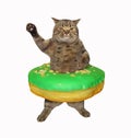 Cat with green donut on its waist