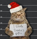 Cat stole Santa`s gifts