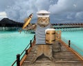 Cat sailor with beer on pier Royalty Free Stock Photo