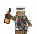 Cat sailor at helm of ship 2