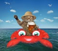 Cat drinks beer on inflatable crab Royalty Free Stock Photo