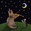 Caticorn beige plays the violin at night