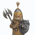 Cat viking with two sided axe 2 Royalty Free Stock Photo