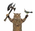 Cat fights with battle axe 3 Royalty Free Stock Photo