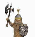 Cat fights with battle axe 2 Royalty Free Stock Photo