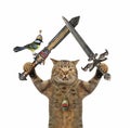 Cat holds crossed swords