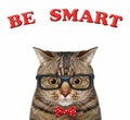 Cat wears bow tie and glasses 2 Royalty Free Stock Photo