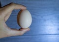 Beige chicken egg in hand