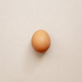 A beige chicken egg lies on a light background. Top view