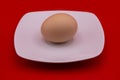 Beige chicken egg on a white saucer on a red background