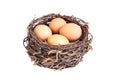 Beige chicken eggs in a basket