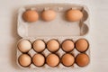 Beige chicken eggs in a carton. Vegetarian natural eco products. Food Gradient