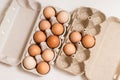 Beige chicken eggs in a carton. Vegetarian natural eco products. Food Gradient